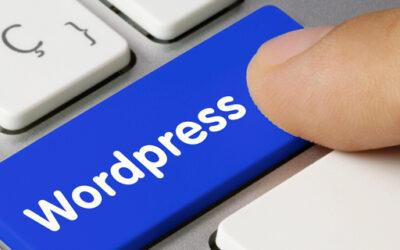 Home Hoe maak je een aparte databasegebruiker aan voor leesrechten op rapportages buiten wordpress?